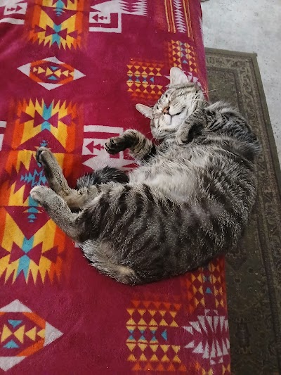 Seed of Life Labs | Billings Dispensary