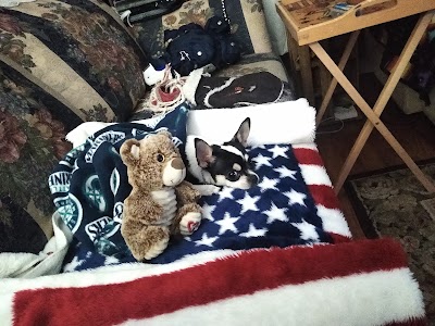 Seed of Life Labs | Billings Dispensary