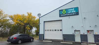 Seed of Life | Lockwood