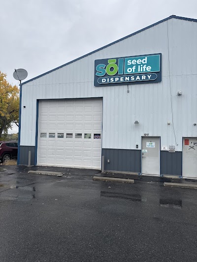 Seed of Life | Lockwood