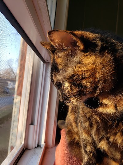 Shangri-La Cannabis Adult Use Retailer