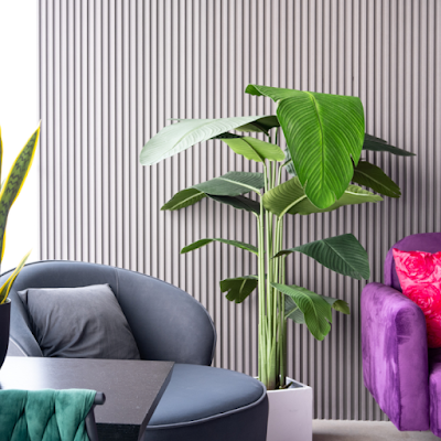 Shangri-La Dispensary