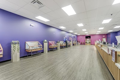 Shangri-La Dispensary