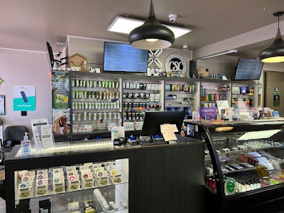 Silver Stem Fine Cannabis Denver East Aurora Cannabis Dispensary