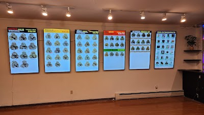 Six Nations Medicine