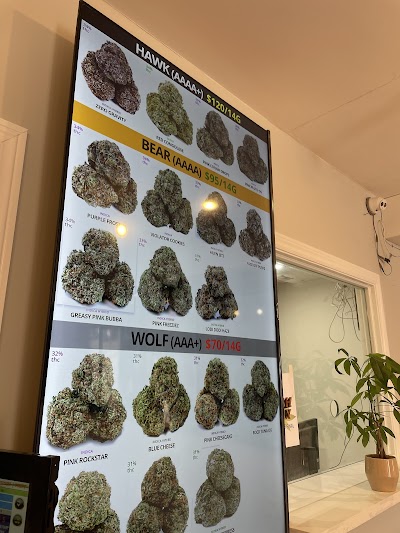 Six Nations Medicine