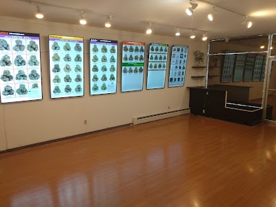 Six Nations Medicine