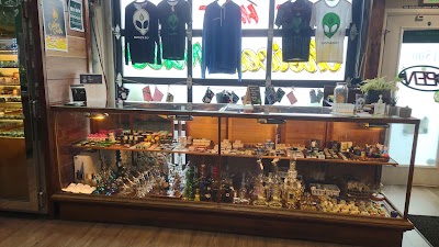 Smooth Roots McMinnville