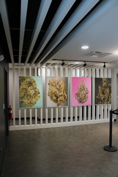 Smyth Cannabis Co. | Framingham