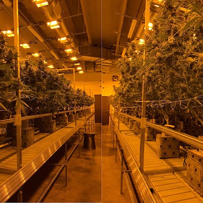 SNAXLAND - High Street