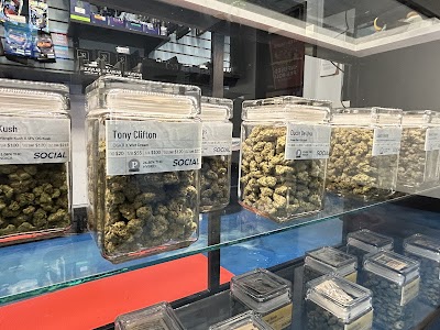 Social Cannabis Dispensary