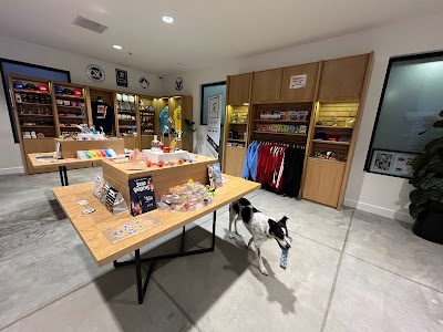 Social Cannabis Dispensary Louisville