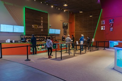 Solar Cannabis Co. Weed Dispensary Somerset