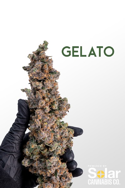 Solar Cannabis Co. Weed Dispensary Somerset