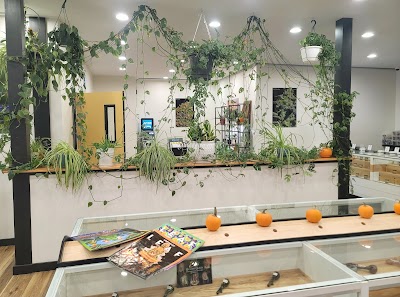 Somewhere On The Mountain Cannabis Dispensary Rutland