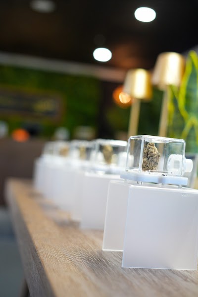 Sonic Bloom - Cannabis and Hemp Dispensary