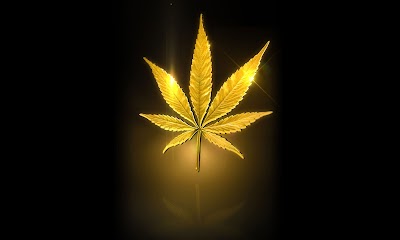 Sour Kush Dispensary