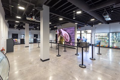 South Coast Safe Access