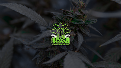 Space Station Cannabis Center
