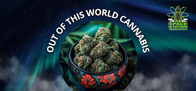 Space Station Cannabis Center