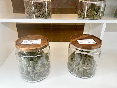 Space Station Dispensary