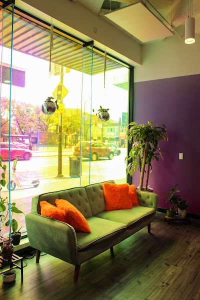 Spark'd Dispensary Wicker Park