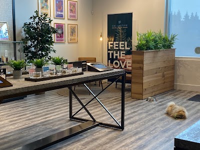 Spiritleaf | Seton | Cannabis Store