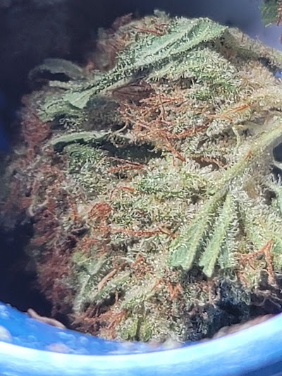 SQDC - Gatineau - de la Gappe