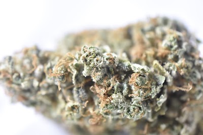 Standing Akimbo Denver