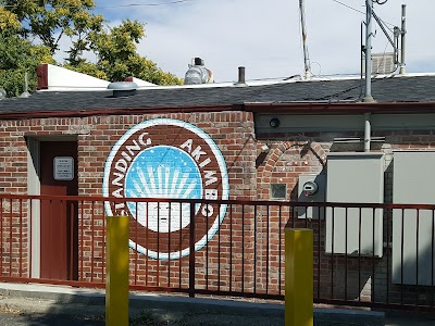 Standing Akimbo Denver