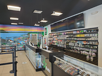 Star Buds Bellingham