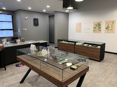 Star Buds Cannabis Co. Cannabis Dispensary