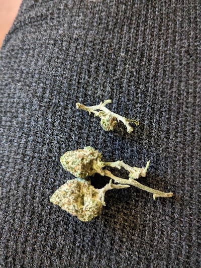 Star Buds North Denver