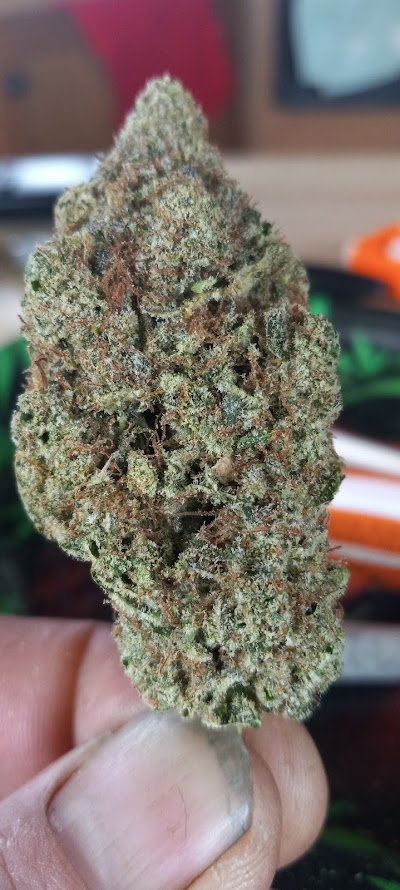 State Line Dispensary - Roland