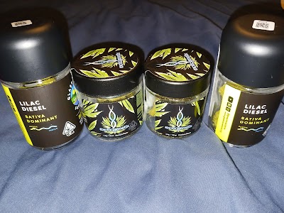 STIIIZY 909 San Bernardino