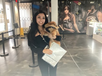 STIIIZY Western (Koreatown)