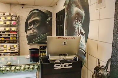 Stoned Ape Canna Co. Dispensary