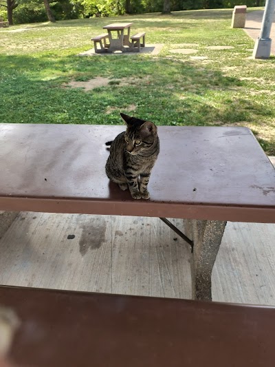 Story Cannabis Dispensary Coshocton