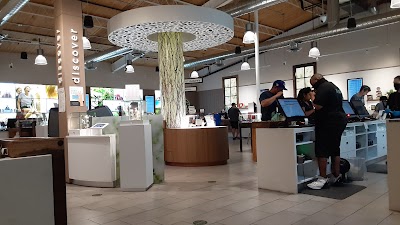 Story Cannabis Dispensary Grand Glendale