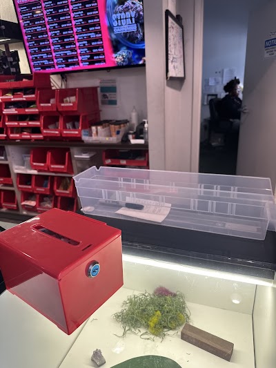 Story Cannabis Dispensary Waldorf