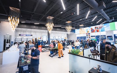 Strain Stars Riverhead