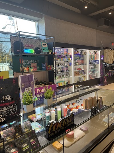 Strain Stars White Plains