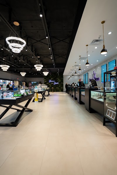 Strain Stars White Plains