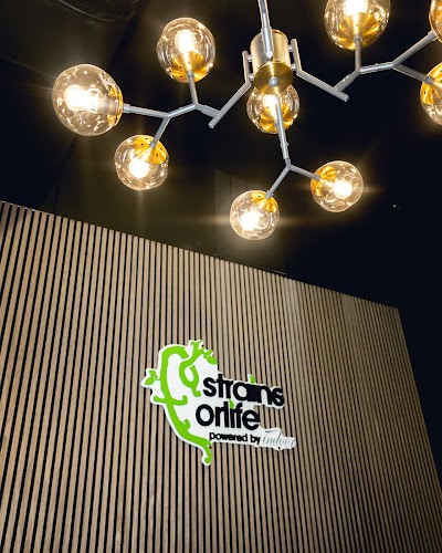Strains For Life Powered by Indoor