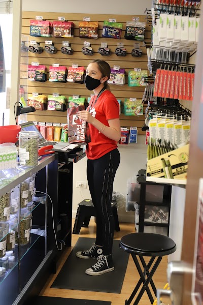 Strawberry Fields Cannabis Denver