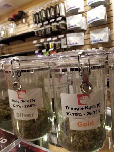 Strawberry Fields Cannabis Downieville photo 3