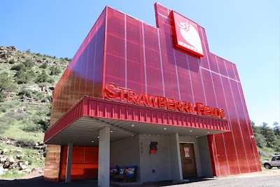 Strawberry Fields Cannabis Downieville