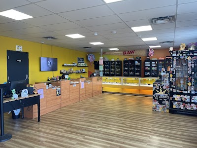 Sun Cannabis Enterprises Ltd.