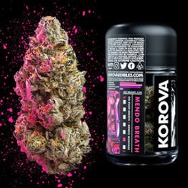 Sun Valley Caregivers