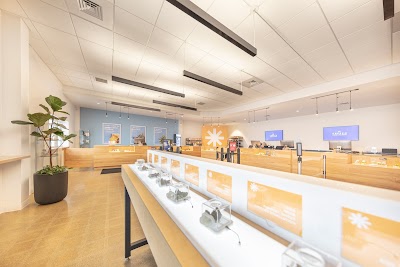 Sunnyside Cannabis Dispensary - Leicester